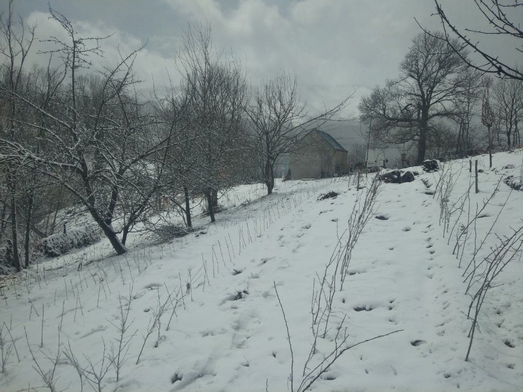 31 mars....les dernières neiges...les dernières plantations sous la neige...les arbres plantés vont bénéficier d'un apport d'eau et d'azote !