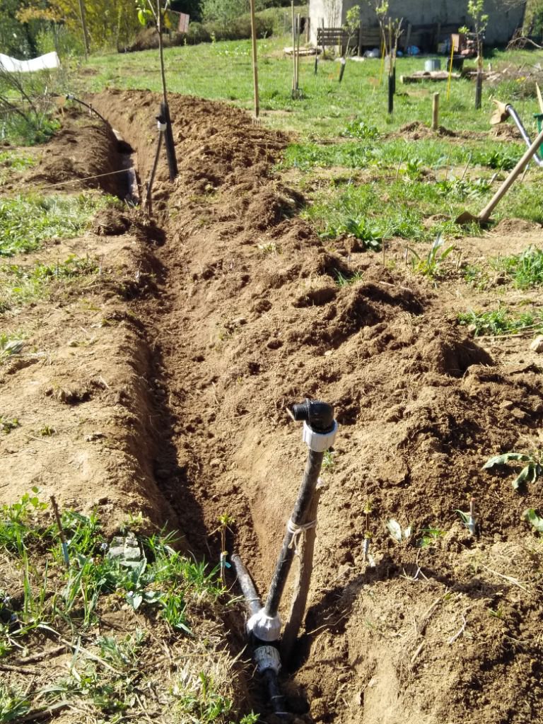 Installation d'un système d'arrosage précaire au jet d'eau...40m de tranchée à creuser à l'outil....